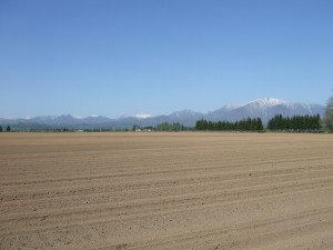 2009-05-21 2009-05-21