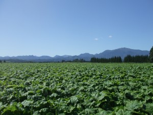 2009-09-14 2009-09-14
