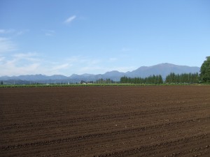 2009-09-23 2009-09-23