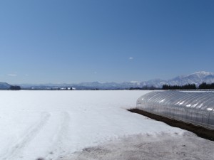 2009-04-03小 2009-04-03小