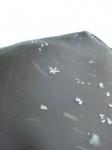 200912121032000.jpg