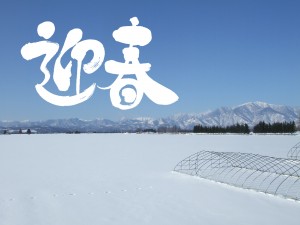 2010年賀 北海道帯広市太平町風景