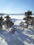 201001081053000.jpg