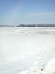 201003161257000.jpg