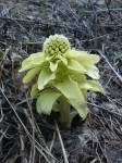201004161606000.jpg