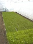 201004231608000.jpg