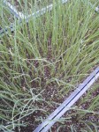 201004231608001.jpg