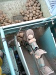 201005110914000.jpg