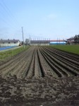 201005211313000.jpg