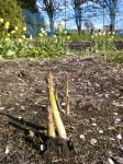 201005290655000.jpg