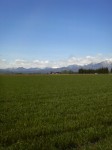 201005290908000.jpg