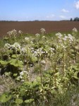 201005290937000.jpg