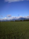 201006170616000.jpg