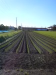 201006170632000.jpg