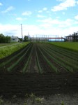 201006171117000.jpg