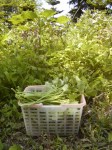 201006181114000.jpg