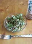 201006251213000.jpg