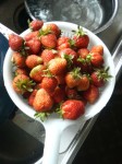 201007021241000.jpg