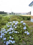 201007210742000.jpg