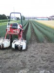 201007221111000.jpg