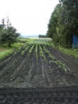 201007231131000.jpg