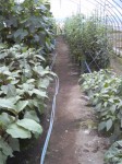 201007231134000.jpg