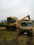 201007290937000.jpg