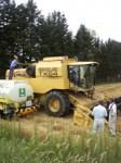 201007290941001.jpg