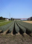 201008191405000.jpg