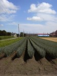 201008201306000.jpg
