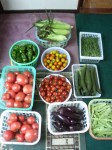 201008210754000.jpg