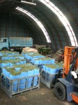 201009101521000.jpg