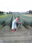 201009101531002.jpg