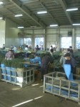 201009241447001.jpg