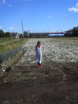 201009291309000.jpg