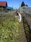 201009301130000.jpg