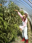 201009301140000.jpg