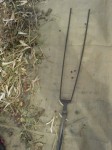 201010081113001.jpg