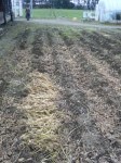 201010081405000.jpg