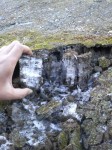 201011191126000.jpg