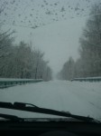201012180934000.jpg