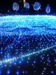 201012231958000.jpg