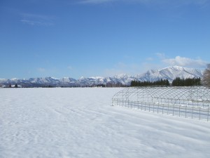 DSCF1223 融雪前
