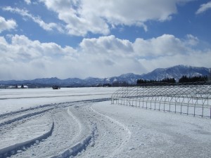 DSCF1228 雪上車が入った融雪後