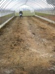 201104070953000.jpg