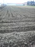 201104210938000.jpg