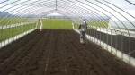 201105101040000.jpg