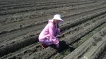 201105111044000.jpg