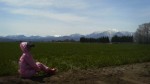 201105121129000.jpg
