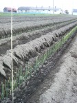 201105191008000 201105191008000.jpg